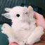 のんのプロフィール画像