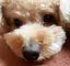 るなのプロフィール画像