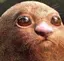 やんみーのプロフィール画像