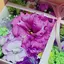 E.Y.tのプロフィール画像