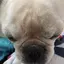 のんちゃんのプロフィール画像