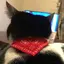 らうらのプロフィール画像