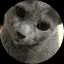 ノリのプロフィール画像