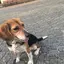 こーたのプロフィール画像