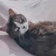 みーのプロフィール画像