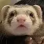 ミカのプロフィール画像