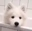 みこのプロフィール画像