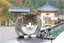 ゆかっちのプロフィール画像