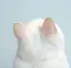 リウのプロフィール画像