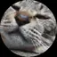 レオンのプロフィール画像