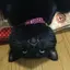 strのプロフィール画像