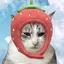 こいけのプロフィール画像
