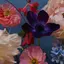 qpeeのプロフィール画像