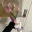 *.🌷.*のプロフィール画像