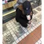 すうさんのプロフィール画像
