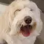 みいろのプロフィール画像
