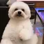 nonoのプロフィール画像