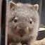 naのプロフィール画像