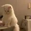 みなみのプロフィール画像