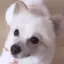 ♡かおりん♡のプロフィール画像