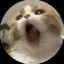 梨乃のプロフィール画像