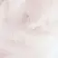 Hanemi🐰のプロフィール画像