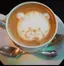 arirのプロフィール画像