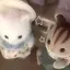 rのプロフィール画像