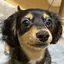 にゃんのプロフィール画像