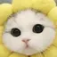 あずきみるくのプロフィール画像