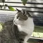 @のプロフィール画像