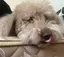 しんのプロフィール画像