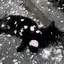 こころのプロフィール画像