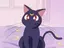 Claireのプロフィール画像