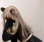 🐈のプロフィール画像
