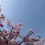 NEOのプロフィール画像