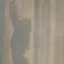MNのプロフィール画像