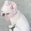 KIKIのプロフィール画像