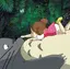 Sのプロフィール画像
