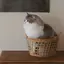 かりんのプロフィール画像