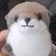 みるくのプロフィール画像