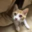 Ryのプロフィール画像