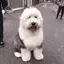 kayaのプロフィール画像