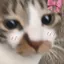 Rinaのプロフィール画像