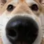 ^ ^のプロフィール画像