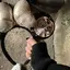夢叶のプロフィール画像
