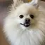 ちゃんのプロフィール画像