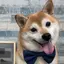 美空のプロフィール画像