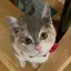 美澪のプロフィール画像