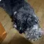 ドキのプロフィール画像